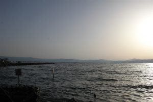 IMG_9310