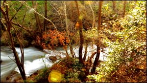 d82330_c512595ec8a04643a6f4e310955788a7