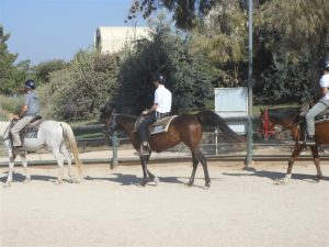 dscn8736