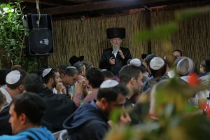 img_4445